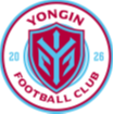 龙仁FC首发阵容